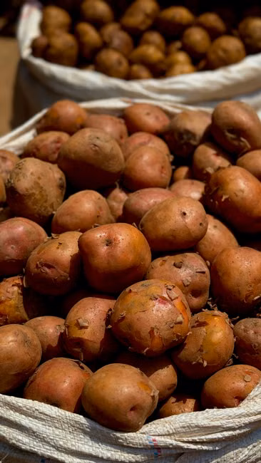 Cesta de Frutas Selecionadas
