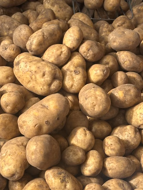 Coxão Mole (kg)